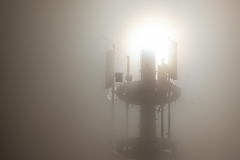20230917-Z62_7766
